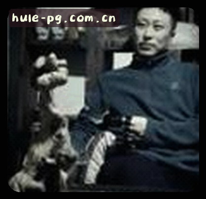 User